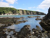 GB, Cornwall, Fowey, Polridmouth Beach 2, Saxifraga-Foto Fitis- Sytske Dijksen