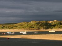 GB, Cornwall, Padstow 13, Saxifraga-Foto Fitis- Sytske Dijksen