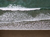 GB, Cornwall, Tintagel 8, Saxifraga-Foto Fitis- Sytske Dijksen