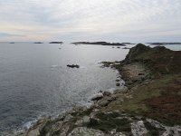 GB, Isles of Scilly, St Agnes 7, Saxifraga-Mark Zekhuis