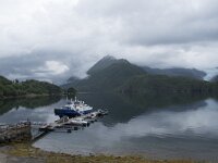 N, Nordland, Meloy, Svartisen 54, Saxifraga-Willem van Kruijsbergen