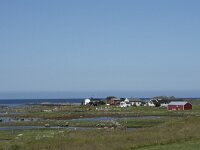 N, Nordland, Vestvagoy, Hoynes 4, Saxifraga-Willem van Kruijsbergen