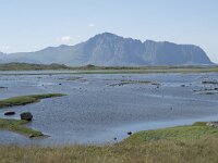 N, Nordland, Vestvagoy, Hoynes 5, Saxifraga-Willem van Kruijsbergen