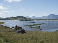 N, Nordland, Vestvagoy, Hoynes 7, Saxifraga-Willem van Kruijsbergen