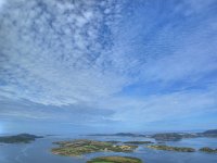 N, Nord-Trondelag, Lauvsnes 4, Saxifraga-Bart Vastenhouw