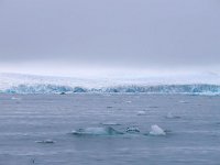 N, Spitsbergen, Burgerbukta 17, Saxifraga-Bart Vastenhouw