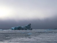 N, Spitsbergen, Burgerbukta 8, Saxifraga-Bart Vastenhouw