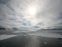 NO, Spitsbergen, Fuglesangen 12, Saxifraga-Bart Vastenhouw