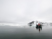 NO, Spitsbergen, Fuglesangen 29, Saxifraga-Bart Vastenhouw