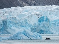 NO, Spitsbergen, Kongsfjord 10, Saxifraga-Bart Vastenhouw