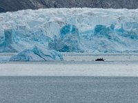 NO, Spitsbergen, Kongsfjord 11, Saxifraga-Bart Vastenhouw