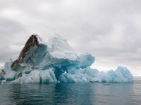 NO, Spitsbergen, Kongsfjord 17, Saxifraga-Bart Vastenhouw