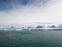 NO, Spitsbergen, Kongsfjord 18, Saxifraga-Bart Vastenhouw