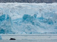 NO, Spitsbergen, Kongsfjord 27, Saxifraga-Bart Vastenhouw