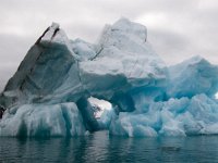 NO, Spitsbergen, Kongsfjord 33, Saxifraga-Bart Vastenhouw