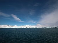 NO, Spitsbergen, Kongsfjord 8, Saxifraga-Bart Vastenhouw