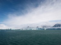 NO, Spitsbergen, Kongsfjord 9, Saxifraga-Bart Vastenhouw