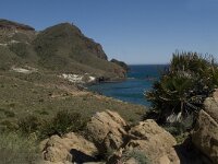 E, Almeria, Nijar, Cabo de Gata 12, Saxifraga-Jan van der Straaten