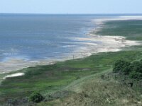 NL, Friesland, Ameland, Oostpunt 1, Saxifraga-Foto Fitis-Sytske Dijksen