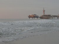 NL, Zuid-Holland, 's Gravenhage, Scheveningen 3, Saxifraga-Tom Heijnen