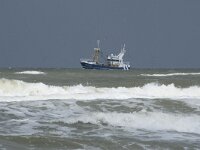 NL, Zuid-Holland, Westland, Monster 14, Saxifraga-Willem van Kruijsbergen