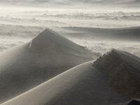 NL, Noord-Holland, Texel, Paal 12 20, Saxifraga-Foto Fitis-Sytske Dijksen