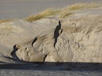 NL, Noord-Holland, Texel, Paal 13 3, Saxifraga-Foto Fitis-Sytske Dijksen