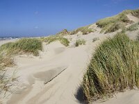 NL, Noord-Holland, Texel, Paal 14 4, Saxifraga-Foto Fitis-Sytske Dijksen
