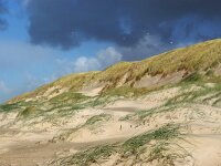 NL, Noord-Holland, Texel, Paal 15 10, Saxifraga-Foto Fitis-Sytske Dijksen