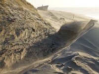 NL, Noord-Holland, Texel, Paal 16 21, Saxifraga-Foto Fitis-Sytske Dijksen