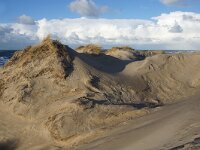 NL, Noord-Holland, Texel, Paal 16 28, Saxifraga-Foto Fitis-Sytske Dijksen