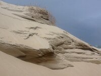 NL, Noord-Holland, Texel, Paal 16 30, Saxifraga-Foto Fitis-Sytske Dijksen