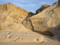 NL, Noord-Holland, Texel, Paal 16 34, Saxifraga-Foto Fitis-Sytske Dijksen