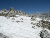 I, Sued-Tirol, Corvara, Naturpark Puez-Geisler 131, Saxifraga-Annemiek Bouwman