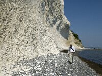 DK, Sjaelland, Vordingborg, Moens Klint South 18, Saxifraga-Marijke Verhagen