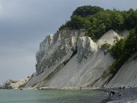 Sjaelland, Vordingborg, Moens Klint North 16, Saxifraga-Jan van der Straaten