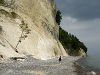 Sjaelland, Vordingborg, Moens Klint North 6, Saxifraga-Jan van der Straaten