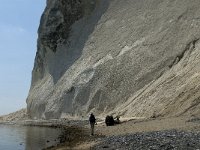 Sjaelland, Vordingborg, Moens Klint South 11, Saxifraga-Jan van der Straaten