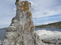 N, Finnmark, Porsanger, Trollholmsund 22, Saxifraga-Willem van Kruijsbergen