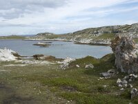 N, Finnmark, Porsanger, Trollholmsund 8, Saxifraga-Willem van Kruijsbergen