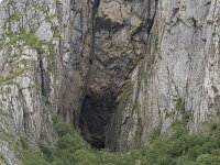 N, Nordland, Bronnoy, Torghatten 24, Saxifraga-Willem van Kruijsbergen