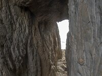 N, Nordland, Bronnoy, Torghatten 9, Saxifraga-Willem van Kruijsbergen