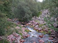 S, Dalarna, Sarna, National Park Fulufjallet, Buntsandstein 11, Saxifraga-Willem van Kruijsbergen