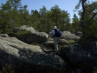 S, Gavleborgs lan, Hudiksvall, Holick 16, Saxifraga-Jan van der Straaten