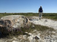 S, Oland, Morbylanga, Stora Alvaret 1, Saxifraga-Jan van der Straaten