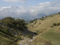 F, Hautes-Alpes, St Etienne-en-Devoluy 1, Saxifraga-Jan van der Straaten
