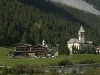 I, Trentino-Sued Tirol, Stelvio National Park, Sulden 2, Saxifraga-Jan van der Straaten