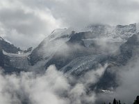 I, Trentino-Sued Tirol, Stelvio National Park, Sulden, Cime di Campo 1, Saxifraga-Jan van der Straaten