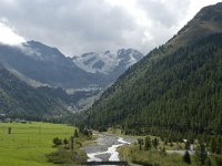 I, Trentino-Sued Tirol, Stelvio National Park, Sulden, Gran Zebru 1, Saxifraga-Jan van der Straaten