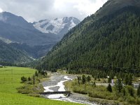 I, Trentino-Sued Tirol, Stelvio National Park, Sulden, Gran Zebru 2, Saxifraga-Jan van der Straaten